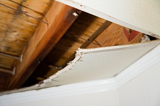 Water-Damage-Fircrest-WA