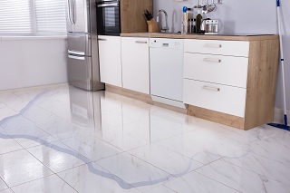 Water-Damage-Repair-University-Place-WA