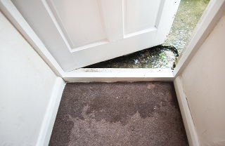 Water-Damage-Restoration-Fircrest-WA